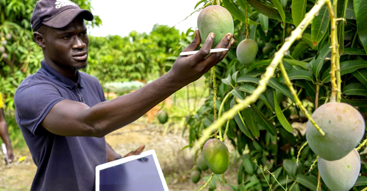 découvrez l'investissement durable, une approche qui allie rentabilité et responsabilité. explorez comment investir dans des projets éthiques et écologiques peut contribuer à un avenir meilleur tout en générant des rendements financiers.