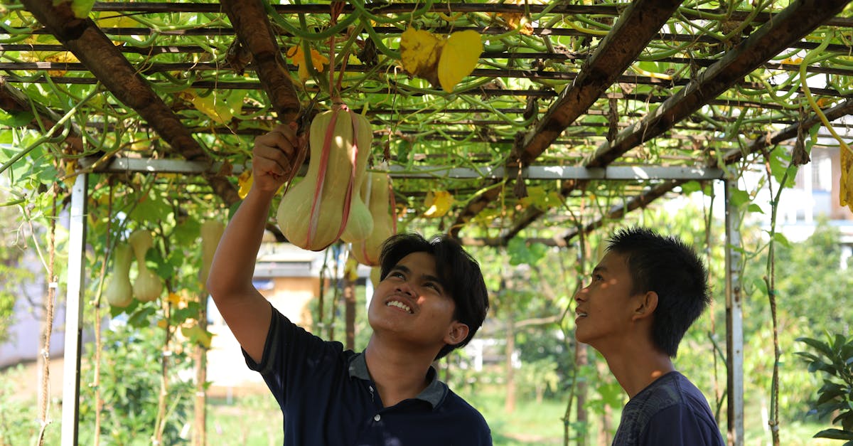 découvrez les pratiques de l'agriculture durable qui préservent l'environnement tout en répondant aux besoins alimentaires globaux. explorez des méthodes innovantes et respectueuses de la biodiversité pour un avenir agricole responsable.