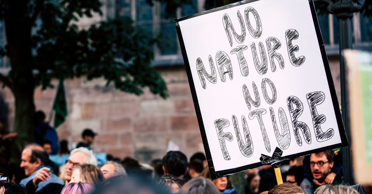 découvrez l'importance de la mobilisation écologique pour préserver notre planète. rejoignez le mouvement en faveur d'initiatives durables et engagez-vous pour un avenir respectueux de l'environnement.