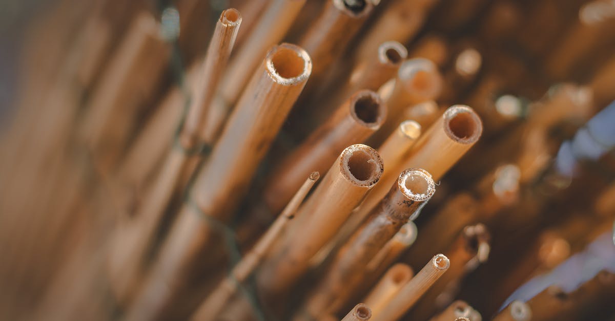 découvrez l'importance de l'évaluation environnementale pour protéger notre planète. apprenez comment cette méthode permet d'analyser l'impact des projets sur l'environnement et de garantir un développement durable. informez-vous sur les étapes clés et les avantages d'une évaluation rigoureuse pour un avenir plus vert.