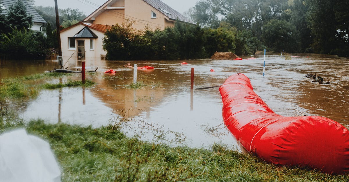 découvrez des stratégies et des solutions efficaces pour la mitigation des risques environnementaux. apprenez comment réduire l'impact des activités humaines sur la planète et promouvoir un avenir durable.
