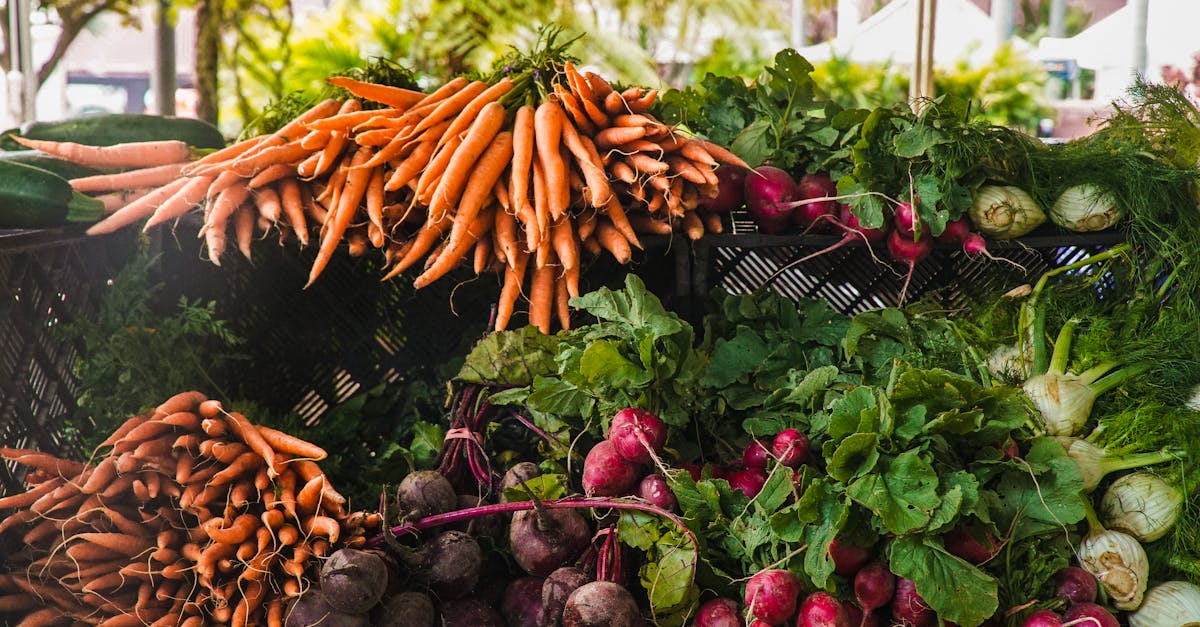 découvrez l'agriculture durable, une pratique innovante qui préserve l'environnement tout en garantissant une production alimentaire responsable. apprenez comment elle contribue à la biodiversité, réduit les déchets et soutient les communautés locales.