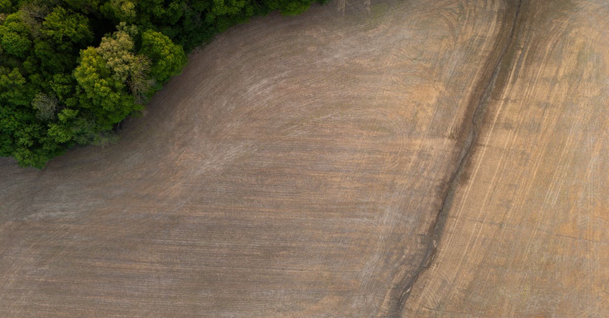découvrez l'investissement durable, une approche financière qui allie rentabilité et responsabilité sociale, en favorisant des entreprises respectueuses de l'environnement et éthiquement engagées. informez-vous sur les opportunités d'investir pour un avenir meilleur tout en maximisant vos retours.