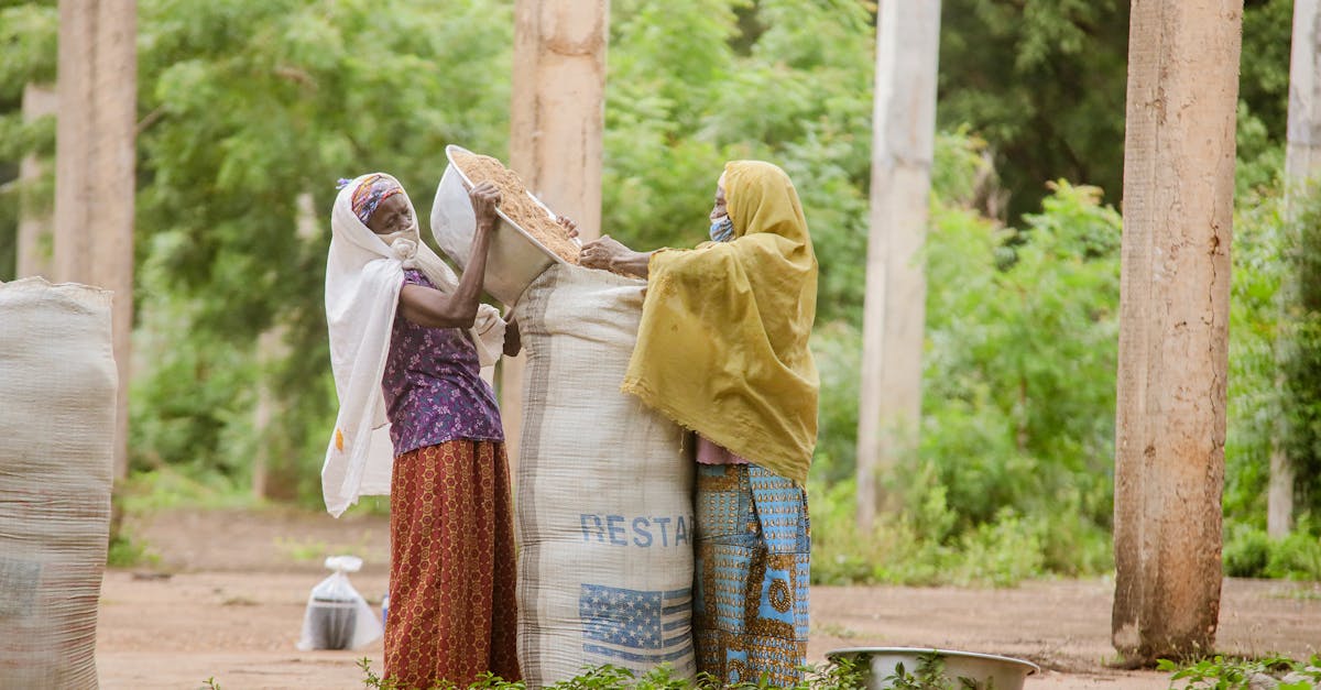 découvrez comment les économies locales durables favorisent le développement communautaire et soutiennent l'environnement. explorez des initiatives innovantes qui allient écologie et prospérité économique, tout en valorisant les ressources locales.