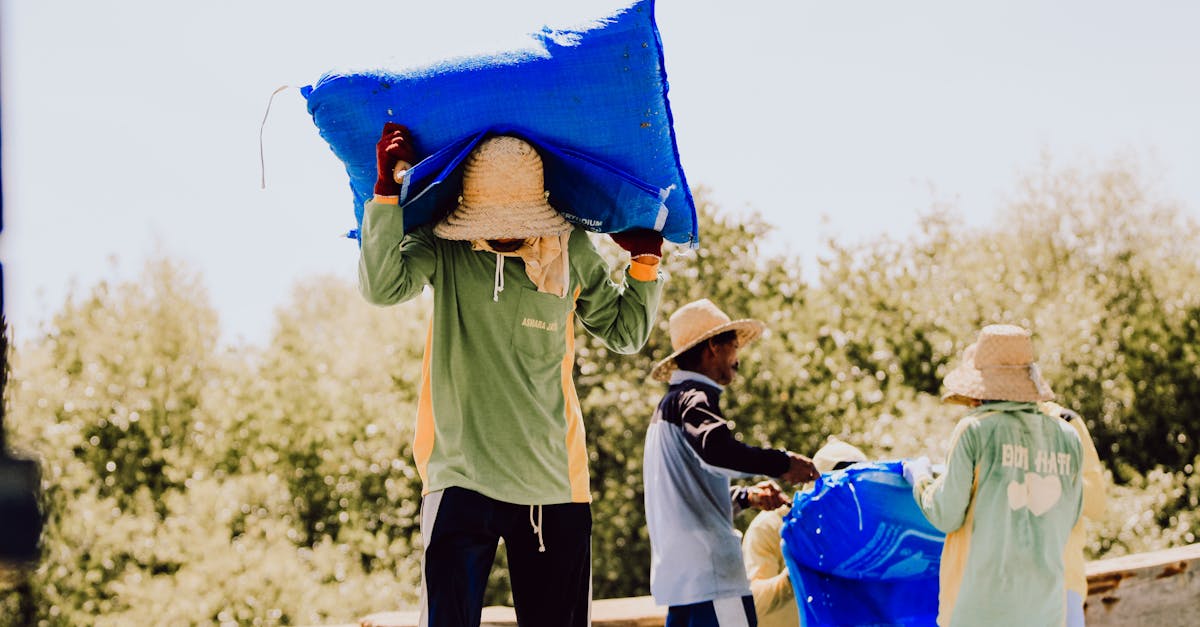 découvrez comment promouvoir des économies locales durables grâce à des pratiques responsables, le soutien aux producteurs locaux et l'innovation communautaire. explorez des stratégies pour renforcer l'autonomie économique tout en préservant l'environnement.